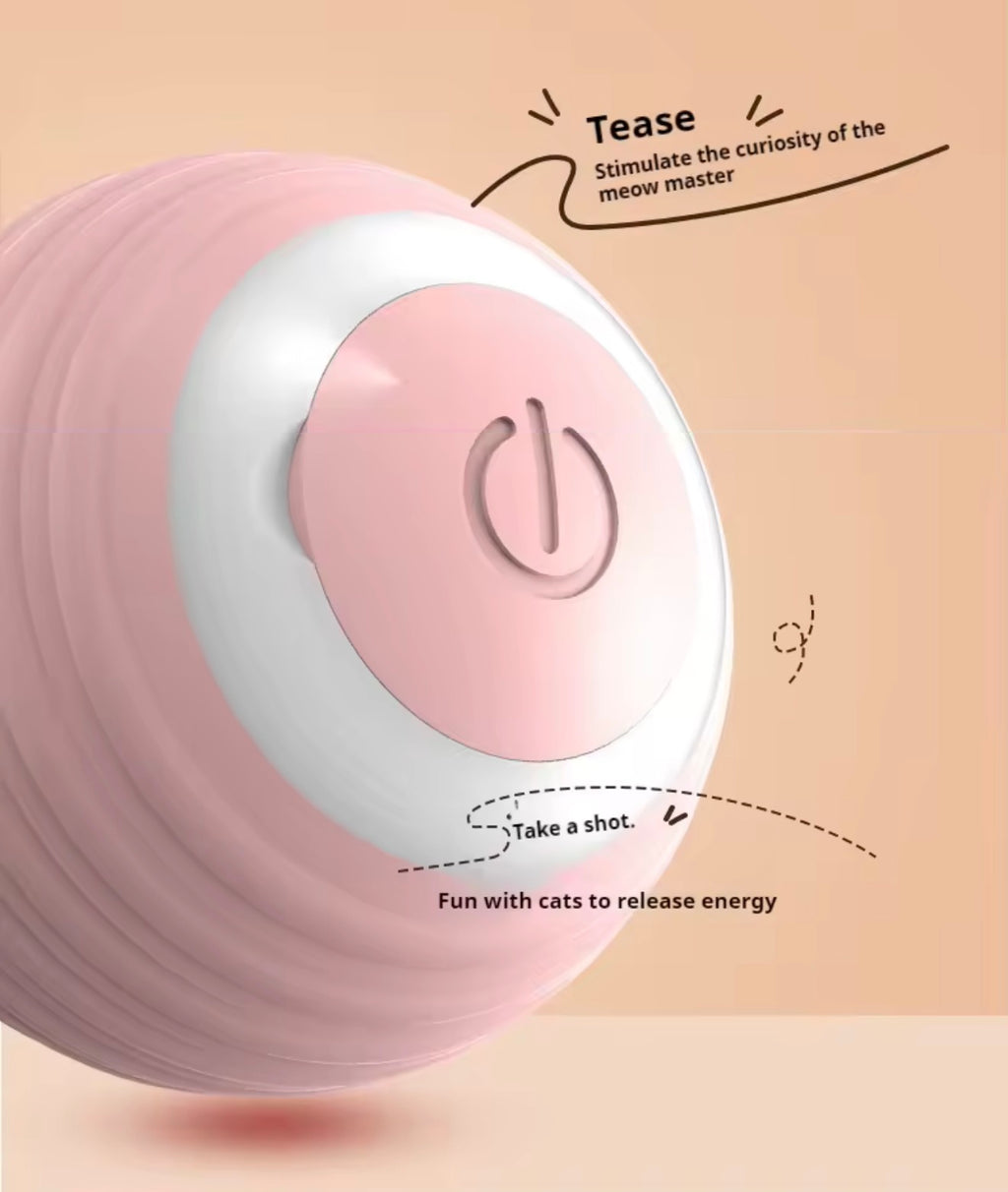 Electronic Interactive Pet Toy