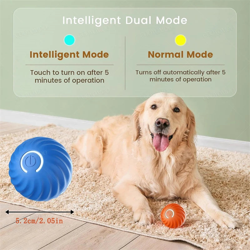 Electronic Interactive Pet Toy