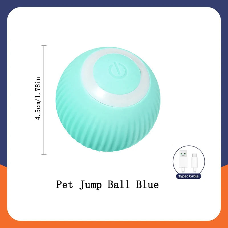Electronic Interactive Pet Toy