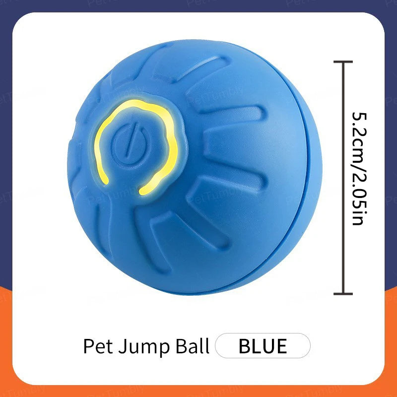 Electronic Interactive Pet Toy
