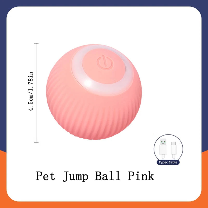Electronic Interactive Pet Toy