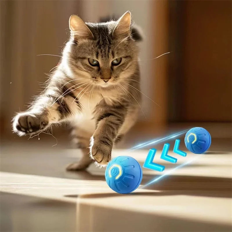 Electronic Interactive Pet Toy