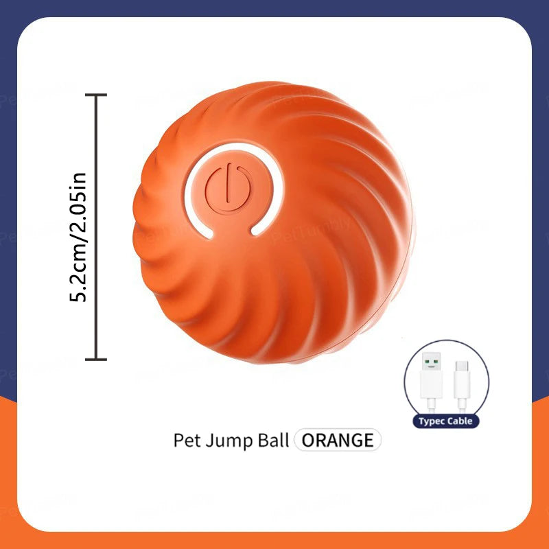 Electronic Interactive Pet Toy