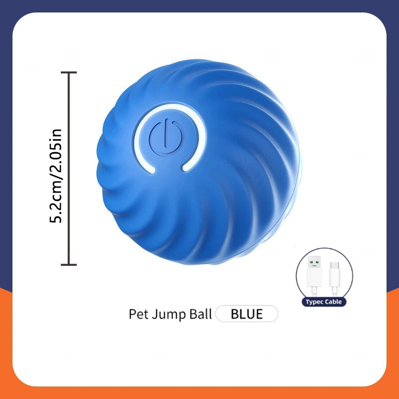 Electronic Interactive Pet Toy