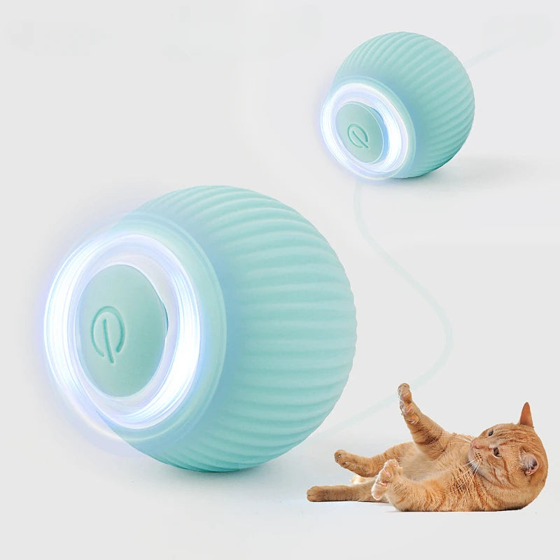 Electronic Interactive Pet Toy