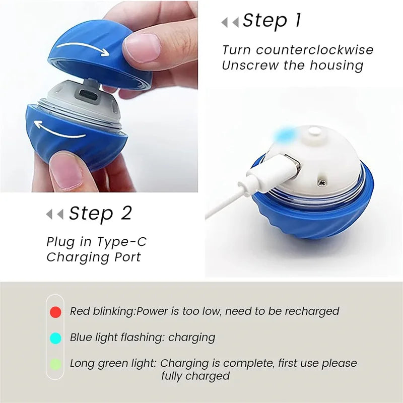 Electronic Interactive Pet Toy