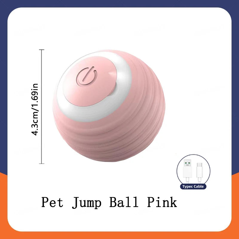 Electronic Interactive Pet Toy