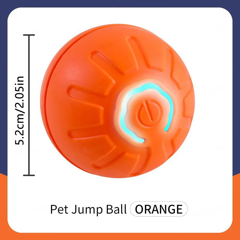 Electronic Interactive Pet Toy